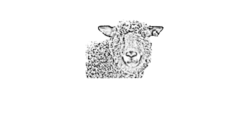 Logo_Full_REV Illustration of a sheep's head with a textured wool coat, showcasing its distinct features and playful expression.